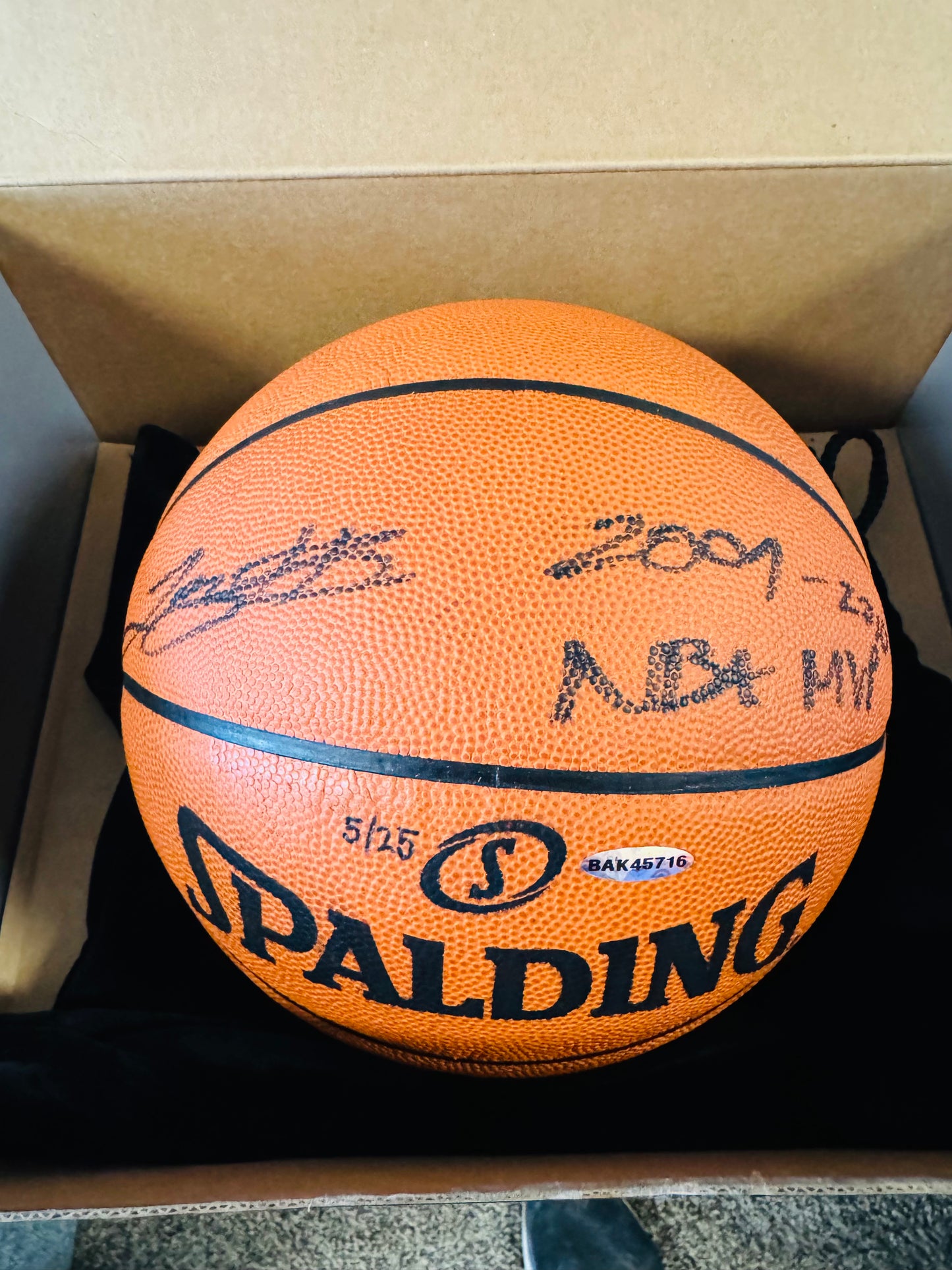 Lebron james signed basketball ( FILL IN)