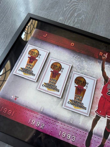 Michael Jordan Signed Bulls Championship Banners /223 - BAK28810 UDA with card