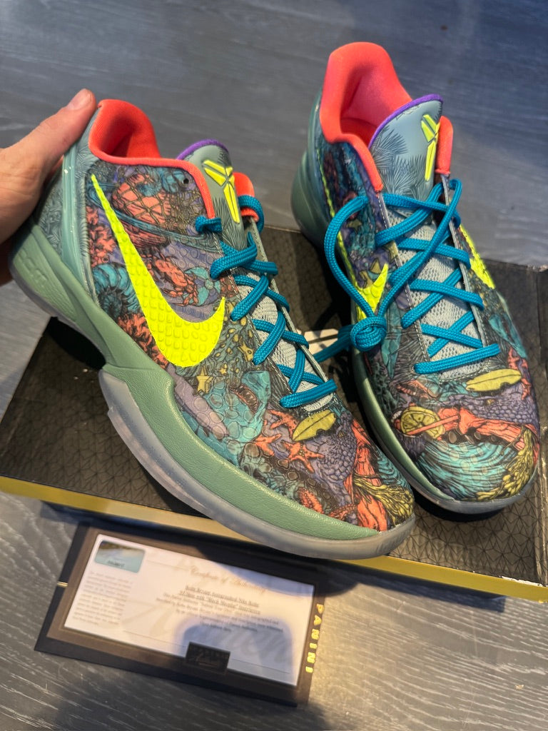 Kobe Bryant Signed Inscribed "Black Mamba" Shoes Panini authenticated  ULTRA RARE ( FILL IN)