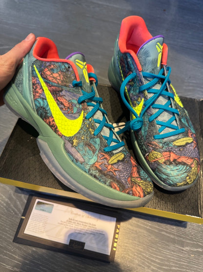 Kobe Bryant Signed Inscribed "Black Mamba" Shoes Panini authenticated  ULTRA RARE ( FILL IN)