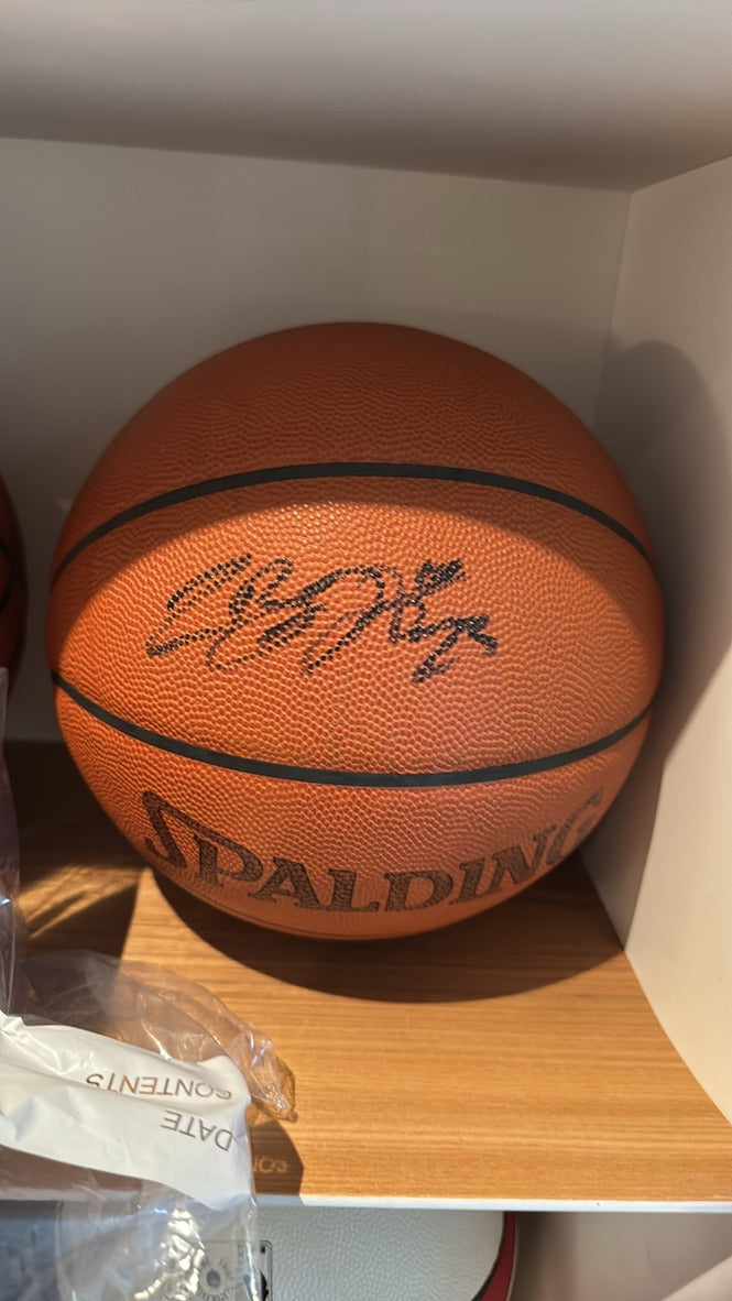 Lebron James Signed Basketball JSA ( FILL IN )