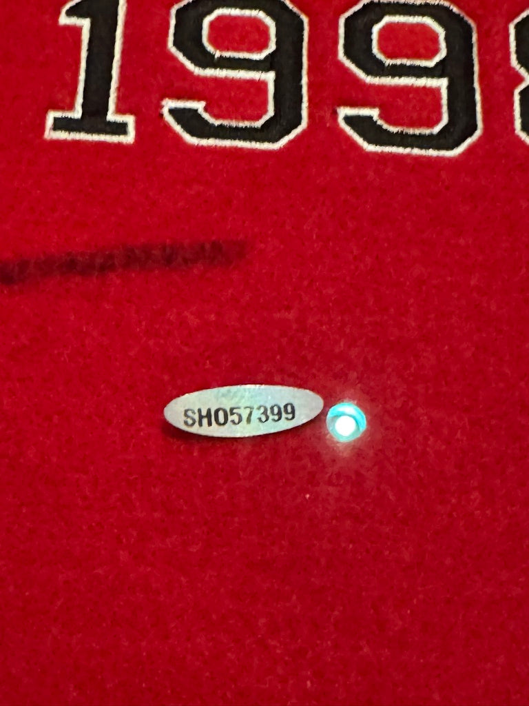 Michael Jordan Signed ULTRA LARGE Chicago Bulls Championship Banner, MASSIVE SIG UDA (FILL IN)