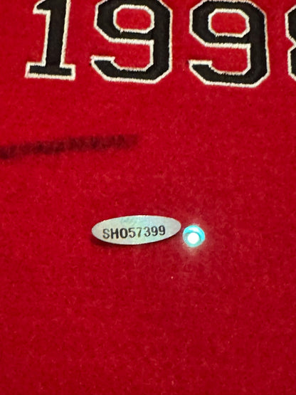 Michael Jordan Signed ULTRA LARGE Chicago Bulls Championship Banner, MASSIVE SIG UDA (FILL IN)