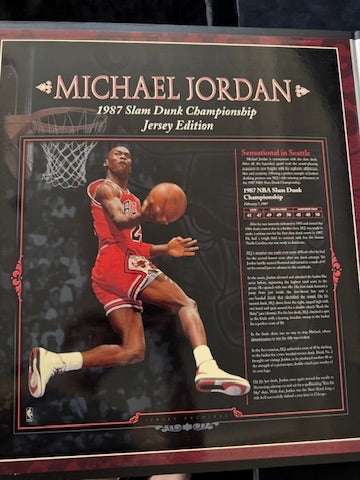 Michael Jordan Signed Red Bulls Jersey Archives - 065/230 Box UDA BAJ63762