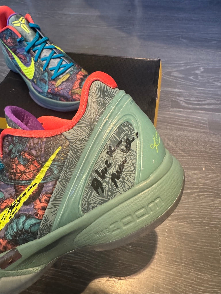 Kobe Bryant Signed Inscribed "Black Mamba" Shoes Panini authenticated  ULTRA RARE ( FILL IN)