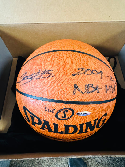 Lebron james signed basketball ( FILL IN)
