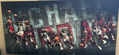 MicMICHAEL JORDAN AUTOGRAPHED UDA TRIPTYCH CHRONOLOGY 3pc CANVAS 24"x48" LE