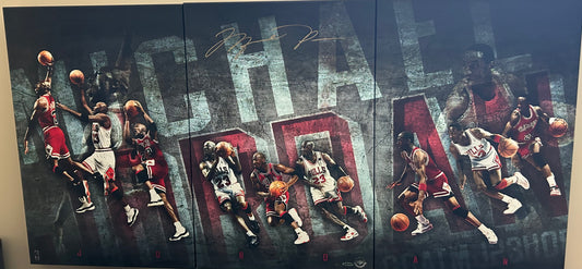 MicMICHAEL JORDAN AUTOGRAPHED UDA TRIPTYCH CHRONOLOGY 3pc CANVAS 24"x48" LE