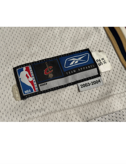 2003-04 LeBron James Cleveland Cavaliers Rookie Game Used/Issued Jersey