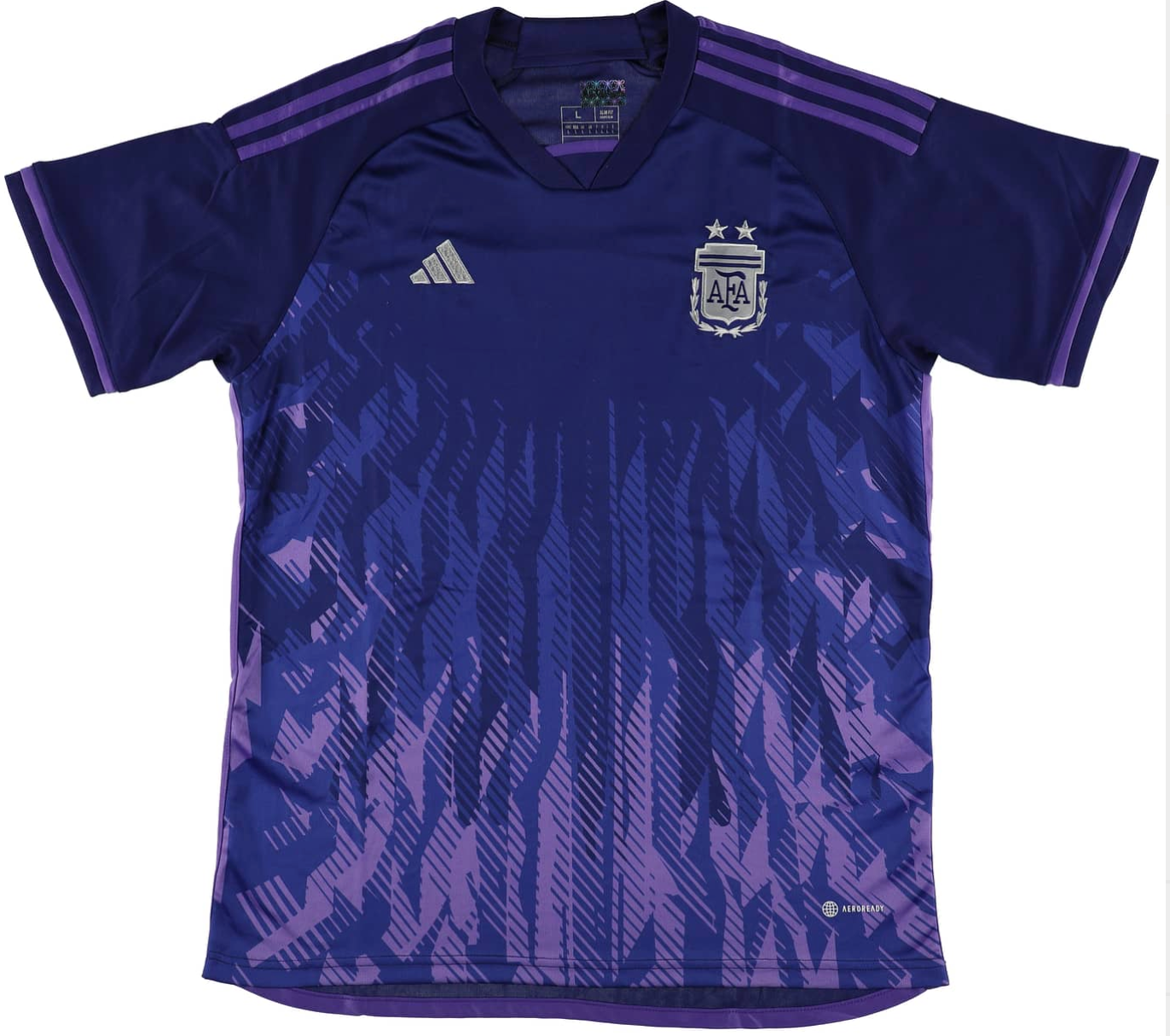Lionel Messi Signed Argentina National Team Jersey - ICONS COA