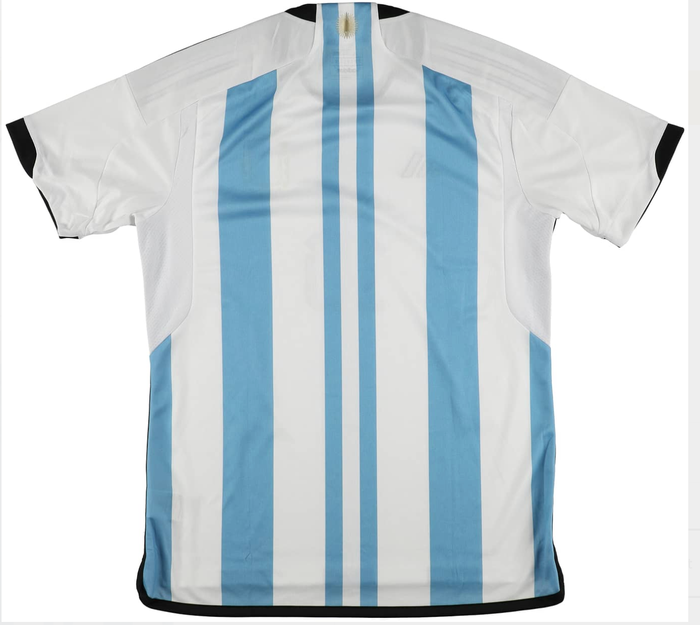 Lionel Messi Signed Argentina National Team Jersey - ICONS COA