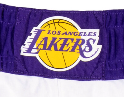 LeBron James 2023 Western Conference Finals Game 3 Worn Los Angeles Lakers Shorts (MeiGray LOA)