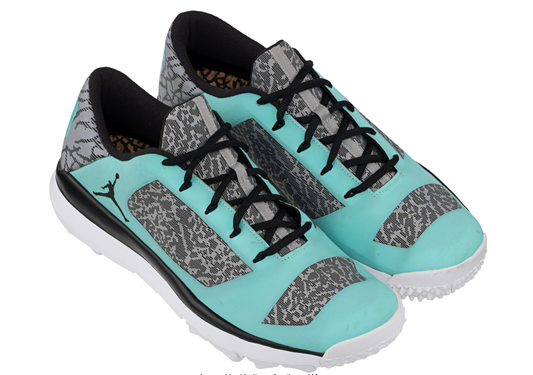 Michael Jordan Golf Worn Nike Air Jordan Prototype Grind Golf Shoes Heritage LOA