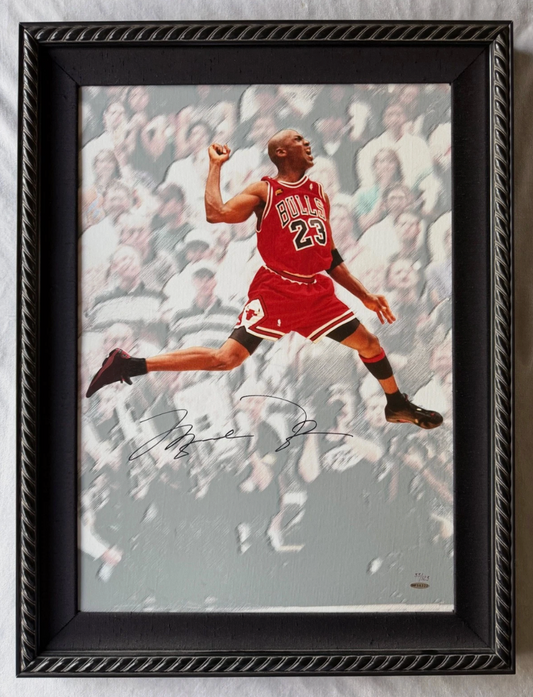 Michael Jordan Signed
