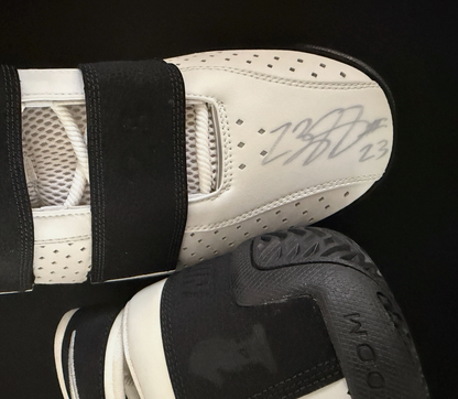 Have one to sell? Sell one like this Sell something else  Share LeBron James Signed Game Issued Nike Zoom PE Sample Size 16 Shoes PSA COA 1/1