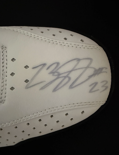 Have one to sell? Sell one like this Sell something else  Share LeBron James Signed Game Issued Nike Zoom PE Sample Size 16 Shoes PSA COA 1/1